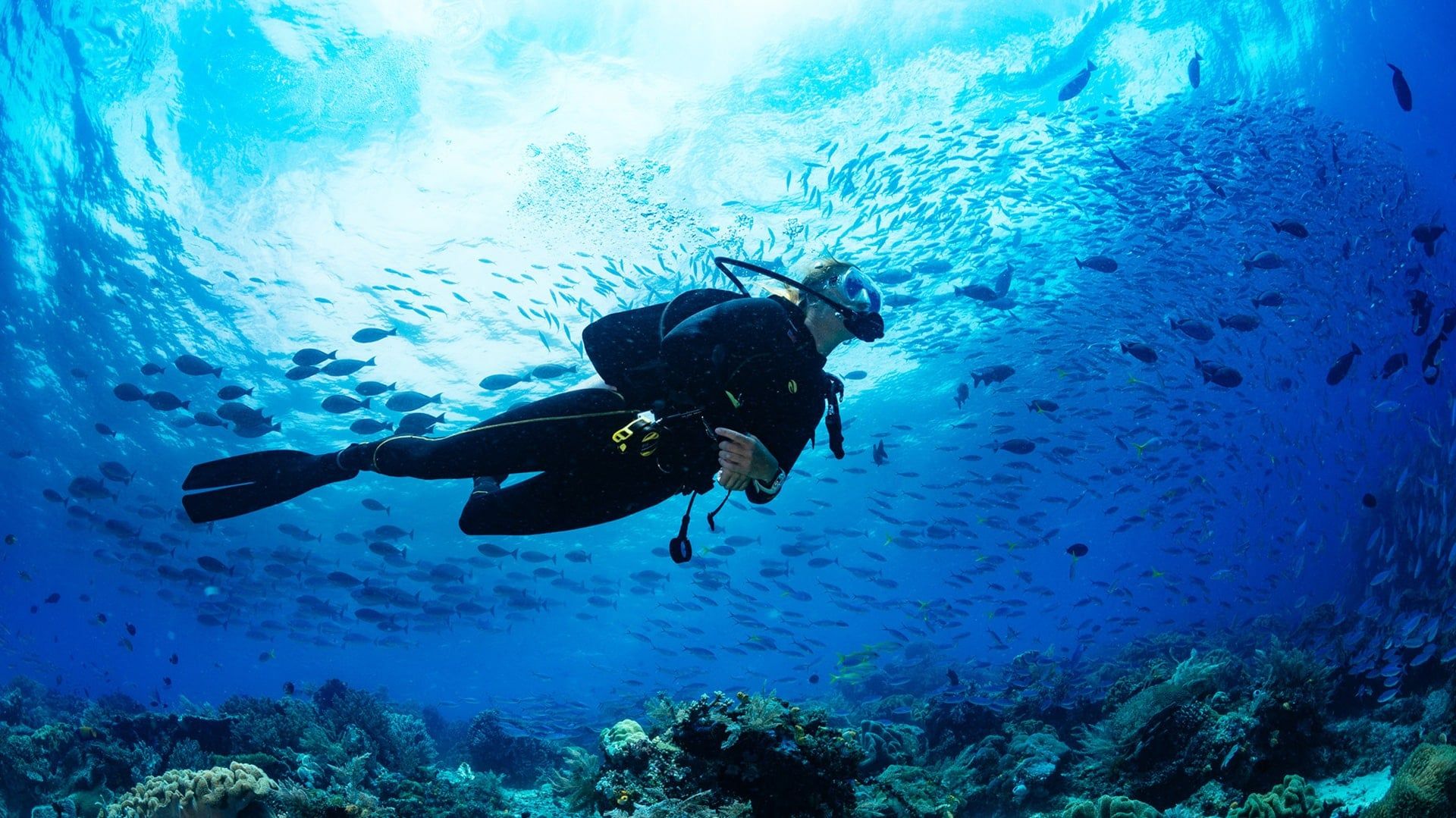 Red tape on a blue planet